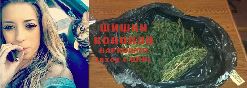 KRAKEN зеркало  Болхов  Бошки марихуана White Widow 